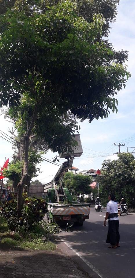 PEROMPESAN POHON DALAM RANGKA PARADE OGOH-OGOH