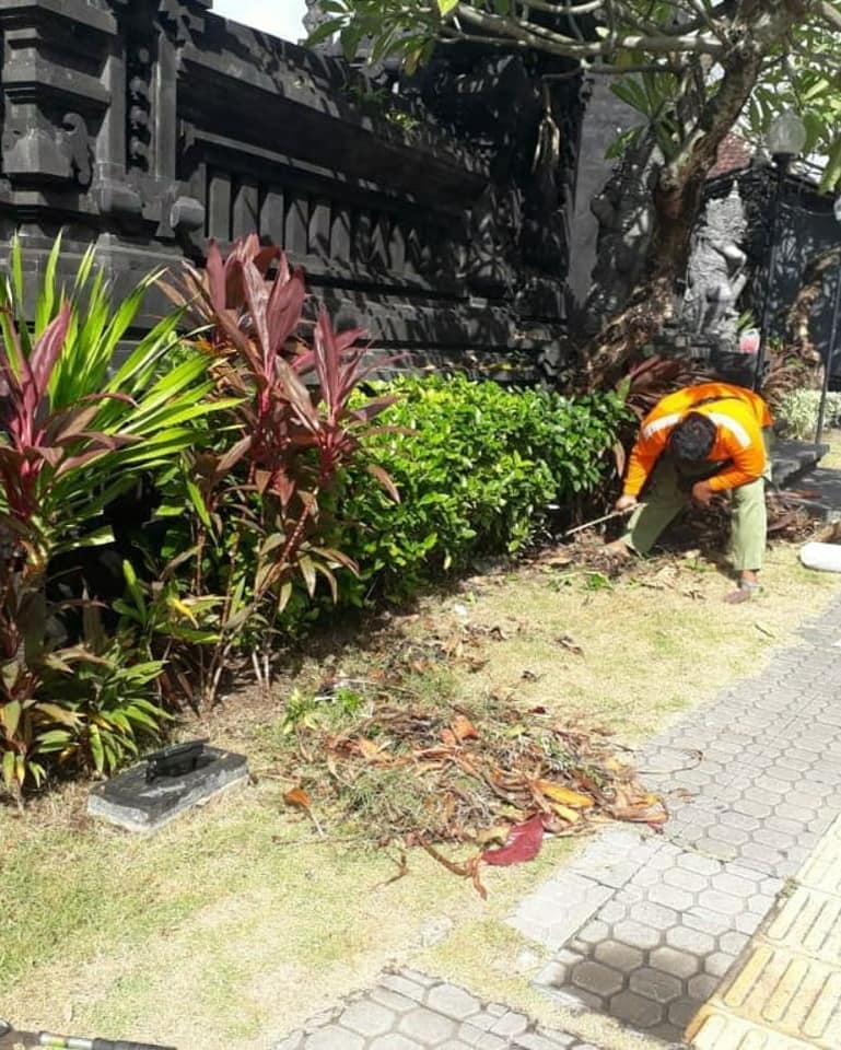 Perawatan Taman di Lingkungan Kelurahan Ubung