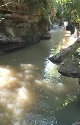 Gambar 1