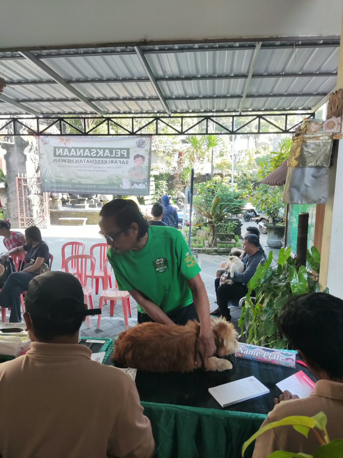 Safari Kesehatan Hewan di Kelurahan